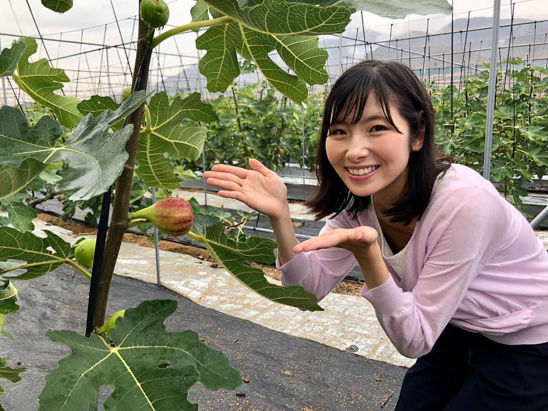 齋藤恵梨のインスタグラム