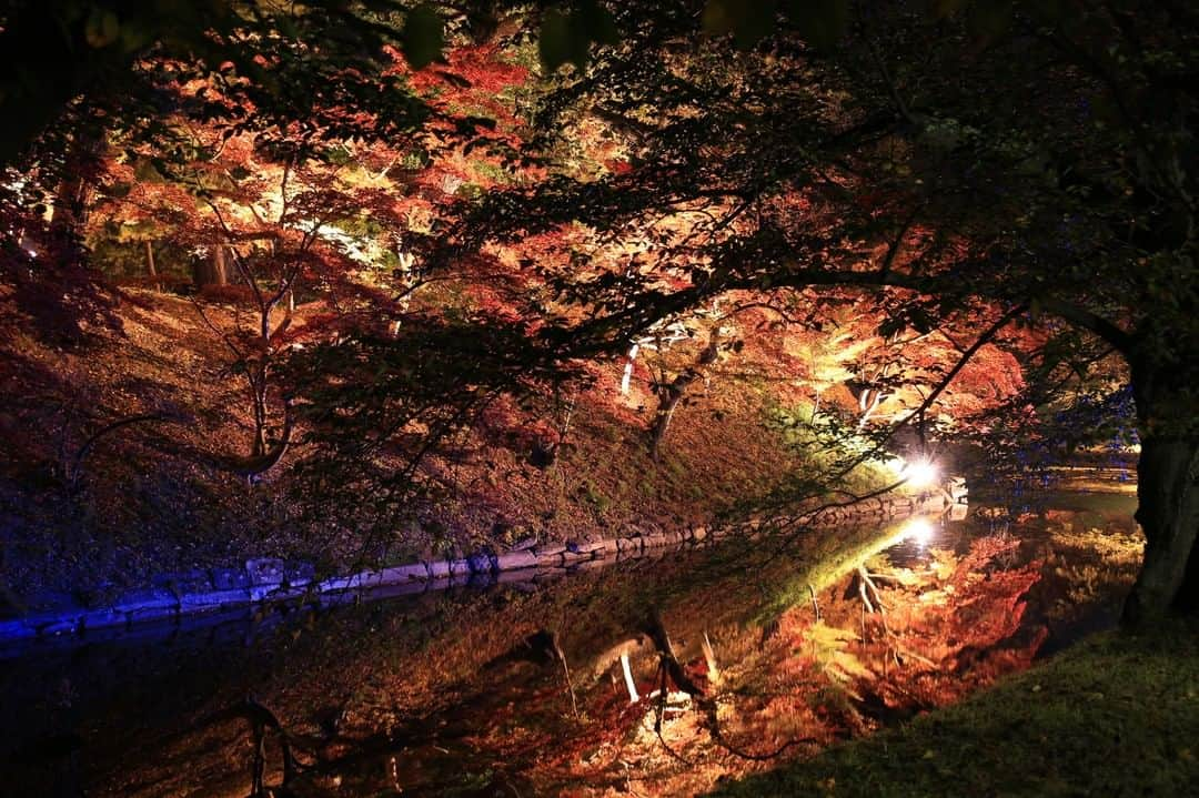 楽天トラベル さんのインスタグラム写真 - (楽天トラベル Instagram)「*** #青森県 #弘前公園 こちらは桜のお花見スポットとして有名ですが、秋の紅葉の見ごたえも抜群。 約1,000本のカエデ、約2,600本の桜が美しい色に染まり、秋の訪れを感じさせます。  弘前城天守や櫓、城門の通常ライトアップの他に、モミジと桜の紅葉の特別ライトアップを実施。 特別ライトアップは日没から21時まで、期間は11月中旬頃までと、長く楽しめるのも魅力です。 . ■紅葉特別ライトアップ■ 2019年10月18日～11月中旬　日没～21:00 . ************************ 旅先で撮った素敵な写真に #rakutentravel を付けてシェアしてね♪ 厳選してこのアカウントで紹介させていただきます！ ************************ . #楽天トラベル #旅 #旅行 #旅に出よう #旅行好きな人と繋がりたい #日本 #일본 #rakutentravel #travel #trip #japan #instagramjapan #IG_JAPAN #japantrip #lovetraveling #aomori」9月5日 18時00分 - rakutentravel