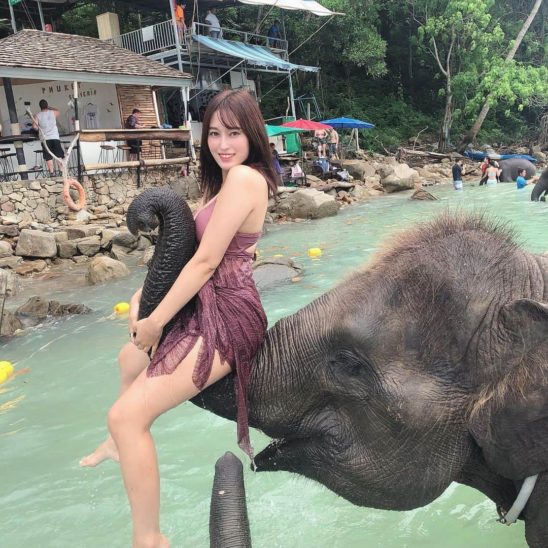 平田梨奈さんのインスタグラム写真 - (平田梨奈Instagram)「It’s was such a nice experience getting to swim and play with the elephants 🐘 They were so friendly and playful and just so beautiful 😍 #Thailand #phuket #海外旅行 #プーケット旅行 #海外 #プーケット観光 #タビジョ #リゾート#プーケット女子旅 #タイ #プーケット #amazingthailand #elephant #像　#えろりー」9月5日 18時12分 - hirari_official