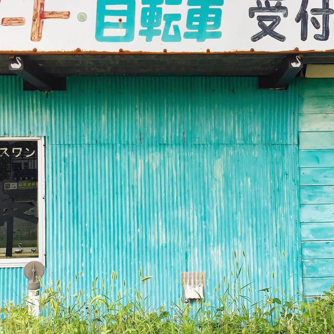 まめのインスタグラム：「"スワン" . . 観光地で4人組の外国人女子グループに シャッター押しますよ！って 声をかけて撮ってあげた 彼女たちとっても喜んでいたよ！ そう、あの日のオレら😏のように。。😂 . こうして親切は地球を廻る💓 . #ザ壁部 #トタニズム . #mwjp #igersjp #indies_minimal #hueart_life #reco_ig #shotoniphone」