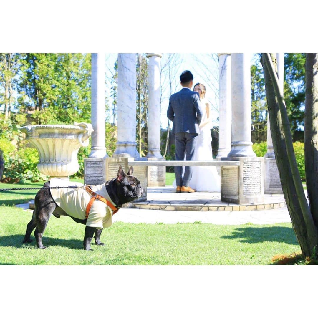 ラ パルティールのグルメインスタ