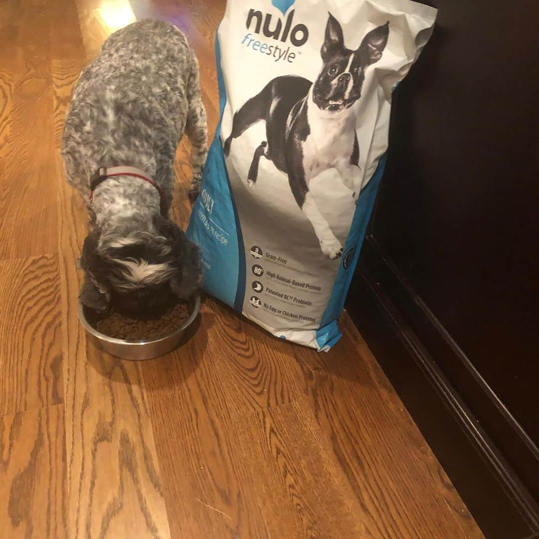 ジョン・イスナーのインスタグラム：「I know better than to believe everything I hear. That’s why I always make sure to do the research myself and make the best decision for my dog, Magill. This time, @nulopetfood made it easy for me by laying out the facts about pet food. Now I know better about what’s going into my pet’s bowl. Learn why there is #nobetterpetfood at nulo.com/facts. #Ad」