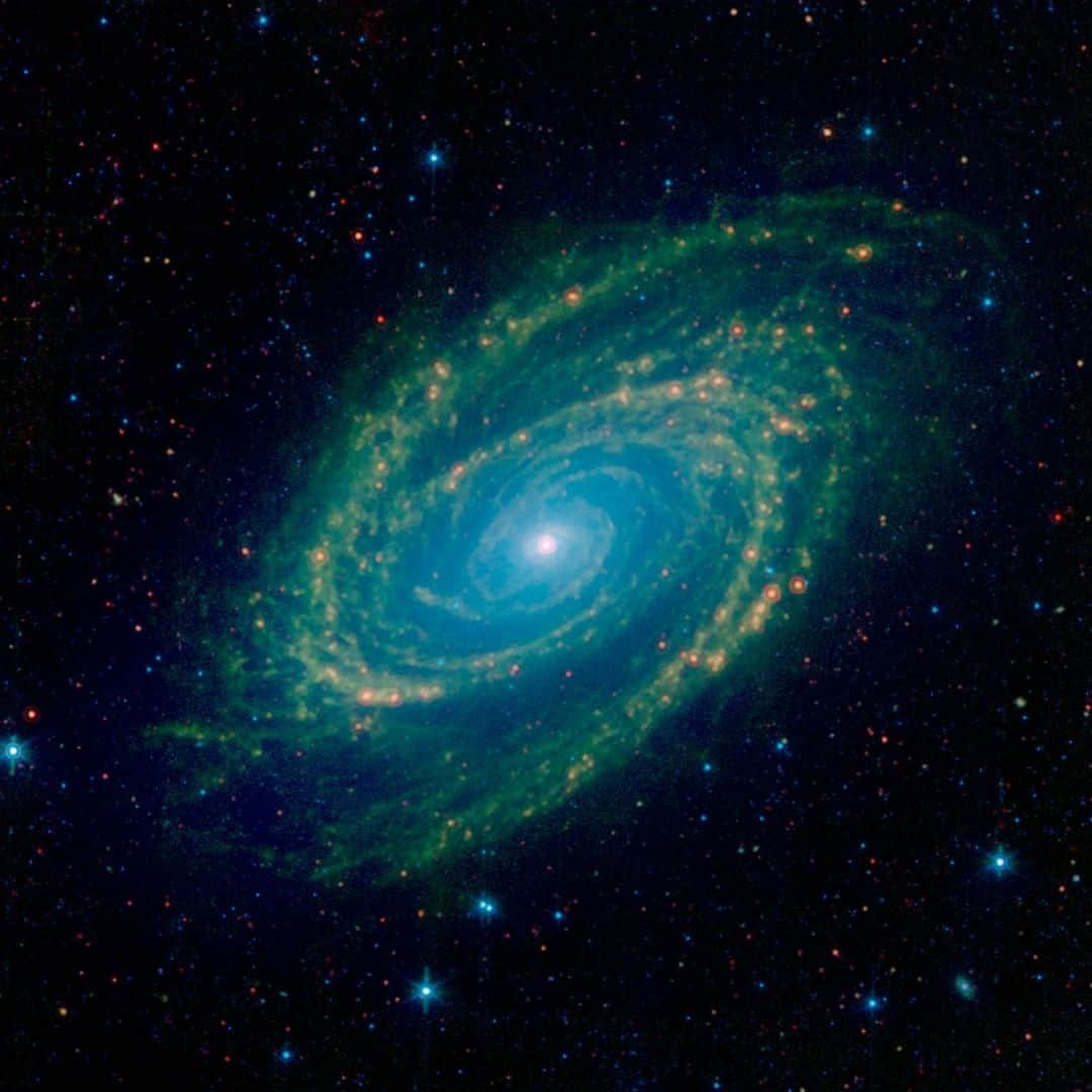 NASAさんのインスタグラム写真 - (NASAInstagram)「Dust in this galaxy is bathed by ultraviolet and visible light from nearby stars. ✨ ⁣ ⁣ M81 is located in the northern constellation of Ursa Major 12 million light-years away from us — easily visible through binoculars or a small telescope. ⁣ ⁣ This Spitzer Space Telescope infrared image is a composite mosaic combining data from the Infrared Array Camera with data from the Multiband Imaging Photometer.⁣ ⁣ Click the link in the bio for more info ⬆️⁣ Image Credit: NASA/JPL-Caltech⁣ ⁣ #NASA #Space #Galaxy」9月6日 6時08分 - nasa