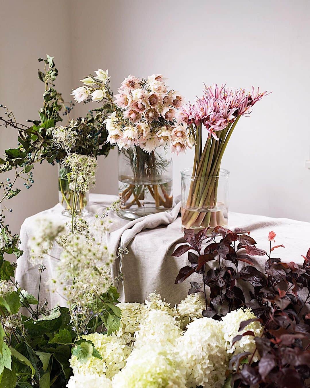 のインスタグラム：「Good morning!🍁 #autumnflowers #autumn #fall #blushingbride #flowers #hydrangeapaniculata : シックで深みのある色にホワイトや淡いピンク色を添えて。「軽さ」がこの秋の花選びのテーマです。 : NHK文化センター青山教室にご参加下さいました皆様、今期もありがとうございました。来期でもご一緒にできますことを楽しみにしております。 #NHK文化センター青山教室今月の花 #初秋の花」