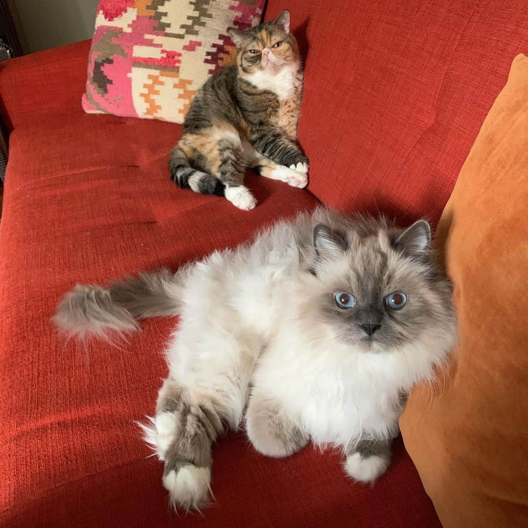 Tinaのインスタグラム：「First Day of school. #JustKidding 😹」