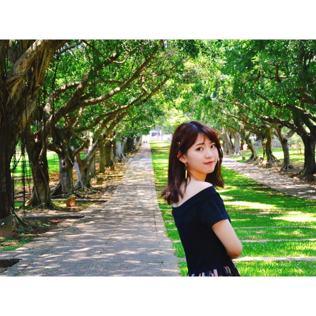 のインスタグラム：「🍵 #木漏れ日 #木漏れ日のトンネル . 東海大学の中にある文理大道 綺麗な緑のトンネル🌿 * * * * * * * * * * * * . 東海大學的文理大道 美麗的綠色隧道🌿 . . 【#まちゃの台中🍄】 📍#東海大學 #文理大道 #台灣 #台湾 #台湾旅行 #台中 #台中旅行 #台中景點 #Taiwan #taiwantravel #Taichung #taichungtravels」