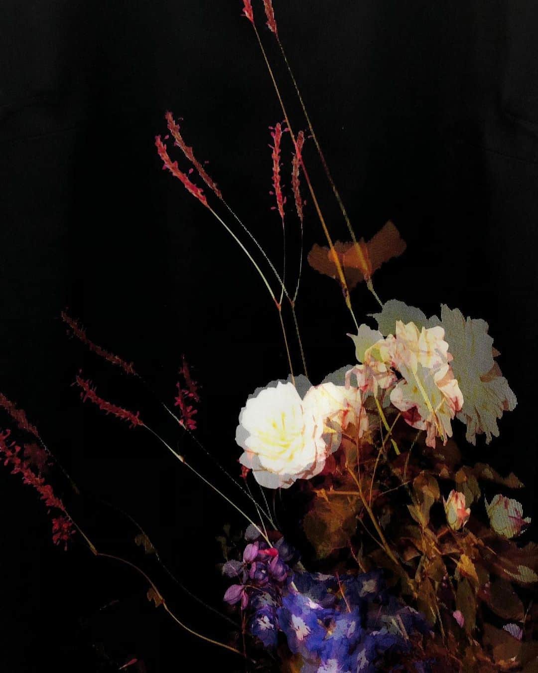 ドリス・ヴァン・ノッテンさんのインスタグラム写真 - (ドリス・ヴァン・ノッテンInstagram)「Women AW 2019-20 Collection  Photographed flowers printed on a double layered dress  #driesvannoten #aw19 #womenswear #flowers」9月5日 23時40分 - driesvannoten