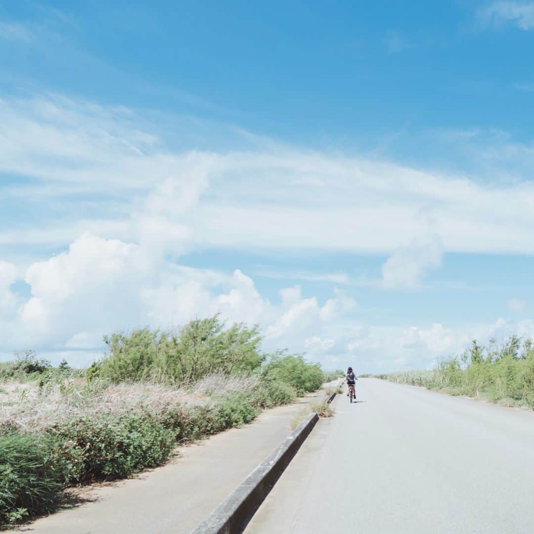 市川渚さんのインスタグラム写真 - (市川渚Instagram)「離島といえばチャリ！伊良部島では電動自転車を借りて、島内を疾走🚲 Google Map頼りに走っていたら途中道路工事で道が閉鎖されており、二進も三進も行かなくなったのも良い思い出。伊良部島の内陸部の道は殆どが農道になってるので移動経路として選ぶべきではないと学びました。﻿ ﻿ 前カゴに取り付けたオズポケ #OSMOPocket も大活躍。タイムラプス撮ると楽しいです😊﻿ ﻿ ﻿ ﻿ #irabuisland#伊良部島#irabu#okinawa#沖縄#宮古#miyako#vacation#cycling#7iii #sonya7iii#tamrona036#osmopocket#timelapse#djiosmopocket#nagikotrip#latergram﻿」9月6日 0時08分 - nagiko