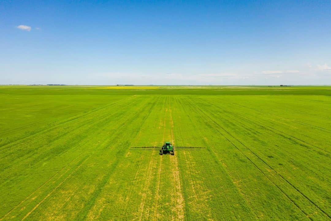 ルモンドさんのインスタグラム写真 - (ルモンドInstagram)「Avec l’Alberta et le Manitoba, la Saskatchewan compose la région des Prairies canadiennes. Située dans le prolongement des Grandes Plaines des Etats-Unis, cette province de 1,1 million d’habitants compte près de 19 millions d’hectares de terres cultivées qui font d’elle le grenier alimentaire du pays. Une fois libérées de la gangue de gel et de neige qui les contraint au repos jusqu’à 250 jours par an, ces terres savent se montrer généreuses. Et les bouquets de silos rutilants qui les hérissent recèlent bien d’autres richesses que les traditionnels oléagineux et céréales. Ces dernières décennies, le blond dominant du blé et du canola a en effet cédé du terrain à des alignements de pousses vert tendre inattendues sous ces cieux. D’aspect fragile, celles-ci ne dépassent guère quelques dizaines de centimètres une fois à maturité. « Des lentilles…, révèle notre guide, Murray Purcell, 70 ans. La Saskatchewan assure 40 % de leur production mondiale, ce qui fait aujourd’hui du Canada le premier producteur et exportateur de la planète. » Le pays en exporte même… en Inde, où cette plante fait partie de l’alimentation de base. - 1 : Avec près de 19 millions d’hectares de terres cultivées, la province de la Saskatchewan (Canada) est le grenier alimentaire du pays. 2 : Dans une serre expérimentale du Crop Science Field Lab, un des laboratoires qui mène les essais de l’Université de la Saskatchewan. 3 : Une technicienne échantillonne des semences de lentilles. 4 : Une cargaison de lentilles en sacs de plusieurs dizaines de kilos de Copeland Seeds est prête pour l’exportation. 5 : Les silos à légumineuses de Copeland Seeds, une société qui exporte des lentilles aux quatre coins du monde. - Photos : Julien Goldstein (@juliengoldstein) #PourLeMonde #Alimentation #MangerDemain」9月6日 0時22分 - lemondefr