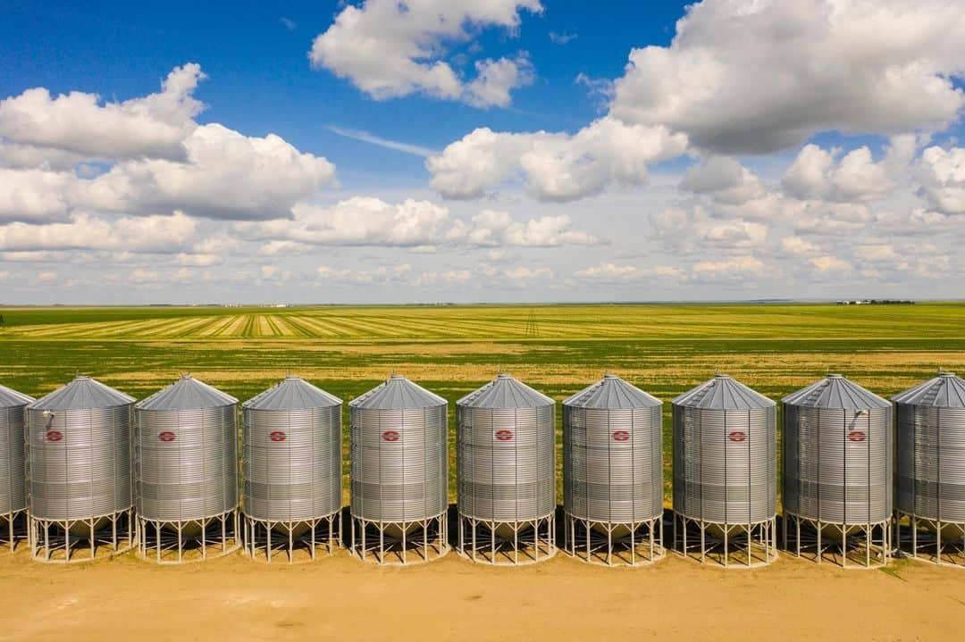 ルモンドさんのインスタグラム写真 - (ルモンドInstagram)「Avec l’Alberta et le Manitoba, la Saskatchewan compose la région des Prairies canadiennes. Située dans le prolongement des Grandes Plaines des Etats-Unis, cette province de 1,1 million d’habitants compte près de 19 millions d’hectares de terres cultivées qui font d’elle le grenier alimentaire du pays. Une fois libérées de la gangue de gel et de neige qui les contraint au repos jusqu’à 250 jours par an, ces terres savent se montrer généreuses. Et les bouquets de silos rutilants qui les hérissent recèlent bien d’autres richesses que les traditionnels oléagineux et céréales. Ces dernières décennies, le blond dominant du blé et du canola a en effet cédé du terrain à des alignements de pousses vert tendre inattendues sous ces cieux. D’aspect fragile, celles-ci ne dépassent guère quelques dizaines de centimètres une fois à maturité. « Des lentilles…, révèle notre guide, Murray Purcell, 70 ans. La Saskatchewan assure 40 % de leur production mondiale, ce qui fait aujourd’hui du Canada le premier producteur et exportateur de la planète. » Le pays en exporte même… en Inde, où cette plante fait partie de l’alimentation de base. - 1 : Avec près de 19 millions d’hectares de terres cultivées, la province de la Saskatchewan (Canada) est le grenier alimentaire du pays. 2 : Dans une serre expérimentale du Crop Science Field Lab, un des laboratoires qui mène les essais de l’Université de la Saskatchewan. 3 : Une technicienne échantillonne des semences de lentilles. 4 : Une cargaison de lentilles en sacs de plusieurs dizaines de kilos de Copeland Seeds est prête pour l’exportation. 5 : Les silos à légumineuses de Copeland Seeds, une société qui exporte des lentilles aux quatre coins du monde. - Photos : Julien Goldstein (@juliengoldstein) #PourLeMonde #Alimentation #MangerDemain」9月6日 0時22分 - lemondefr