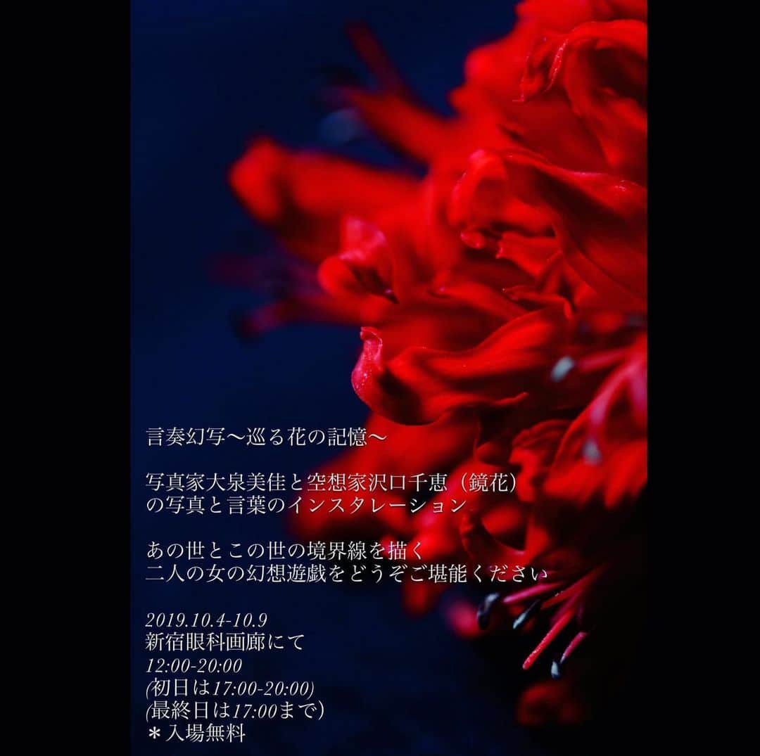 沢口千恵のインスタグラム：「個展のお知らせです！  言奏幻写(げんそうげんしゃ)〜巡る花の記憶〜  写真家大泉美佳と空想家沢口千恵（鏡花）の写真と言葉のインスタレーション  あの世とこの世の境界線を描く二人の女の幻想遊戯をどうぞご堪能ください  2019.10.4-10.9  新宿眼科画廊にて 12:00-20:00 (初日は17:00-20:00) (最終日は17:00まで） ＊入場無料  麗しい言奏幻写の世界が かたちとなって現れます。  テーマは境界線、です。  精神と肉体、闇とひかり、自己と他者。写真と言葉で空間をつなぎます。  ここからもっと向き合います。 どこまで、自分をつめられるだろう。  入場無料です。 ぜひいらしてください。」