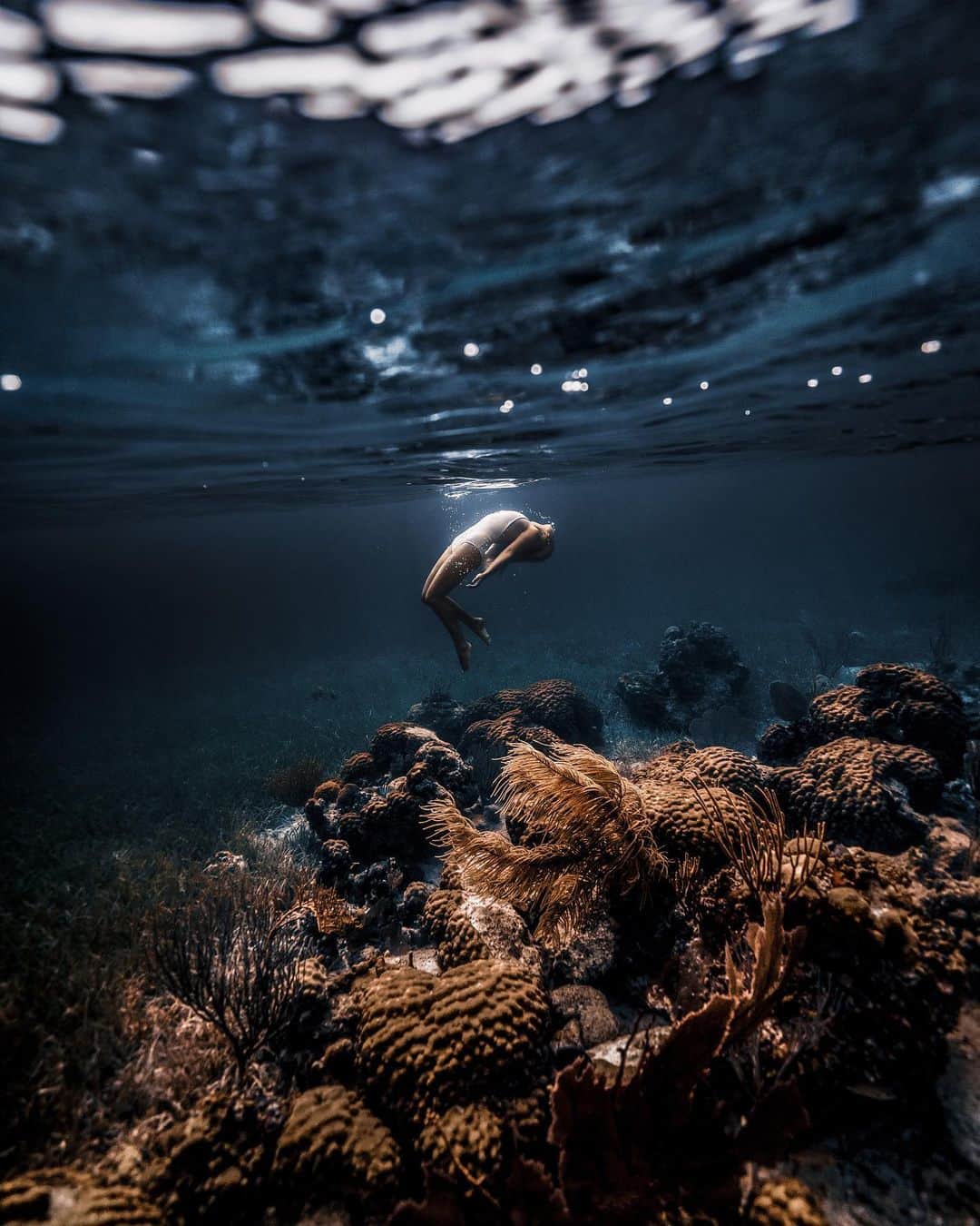 サシャ・カリスのインスタグラム：「Thank you all for reaching out with concerns and questions on how you can help the devastation that has fallen on the Bahamas. My home was spared with generally no hurricane damage at all, but just fifty miles to our north families are greatly suffering from a disaster that has destroyed their homes and the other basic services that we rely on. Anna and Colin Degregory, long time second home owners from the island I live on, are providing the resources of their import/export company, together with the Bahamas Red Cross, to deliver your Amazon donations to where they are needed. See below for details... “Hurricane Dorian hit the northern Bahamian islands of Abaco and Grand Bahama as a CAT 5.  This absolutely devastated the island, it's communities, the livelihoods of so many, and more.  So many of you have been asking how you can assist in helping in the relief, clean-up, and recovery efforts. In coordination with the Bahamas Red Cross, Nine To Five Import LTD, and Post Boxes Etc, we have created a list provided by the Commonwealth of the Bahamas as immediate and necessary needs.  We have created an Amazon wishlist to be able to shop, ship, and donate your items directly from the comfort of your own home. Please see the link below.  The items will be shipped to the importers in Ft. Lauderdale and will be distributed to the Bahamas Red Cross and some items directly into Grand Bahama and Abaco as they arrive.  https://www.amazon.com/hz/wishlist/ls/1MTQNAFAVTXQM?ref_=wl_share  Once you go to check out, for shipping address click on Hurricane Dorian relief and the items will automatically ship to them.  If you have any questions, please feel free to call the Bahamas Red Cross, Nine to Five at (954) 958 9970, Anna Degregory at 676-4925 or email us directly at hurricanerelief@9-5import.com”  I have included swipe up links in my story and more information there. Please check it out, every little bit helps...」