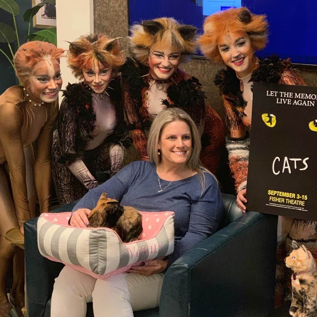 Venus Cat さんのインスタグラム写真 - (Venus Cat Instagram)「When you meet some of the cast members from @catsbroadway CATS the Musical, it’s hard to not want to stare at them in awe (which is why I’m not looking at the camera). 😻 It was kids night last night so we were invited to surprise some VIP ticket holders with a little meet & greet and extended it to additional kids who knew and recognized me from my plush in the lobby. My family was there too but didn’t stay for the show since I was there and thought it would be scary for me. The musical is here in Detroit until September 15th so they plan to go back another night while I relax at home.  It was great meeting everyone! 😽🐾🖤🧡 #cats #catsthemusical #broadway #broadwayindetroit #memories #detroit #fishertheatre」9月6日 3時53分 - venustwofacecat