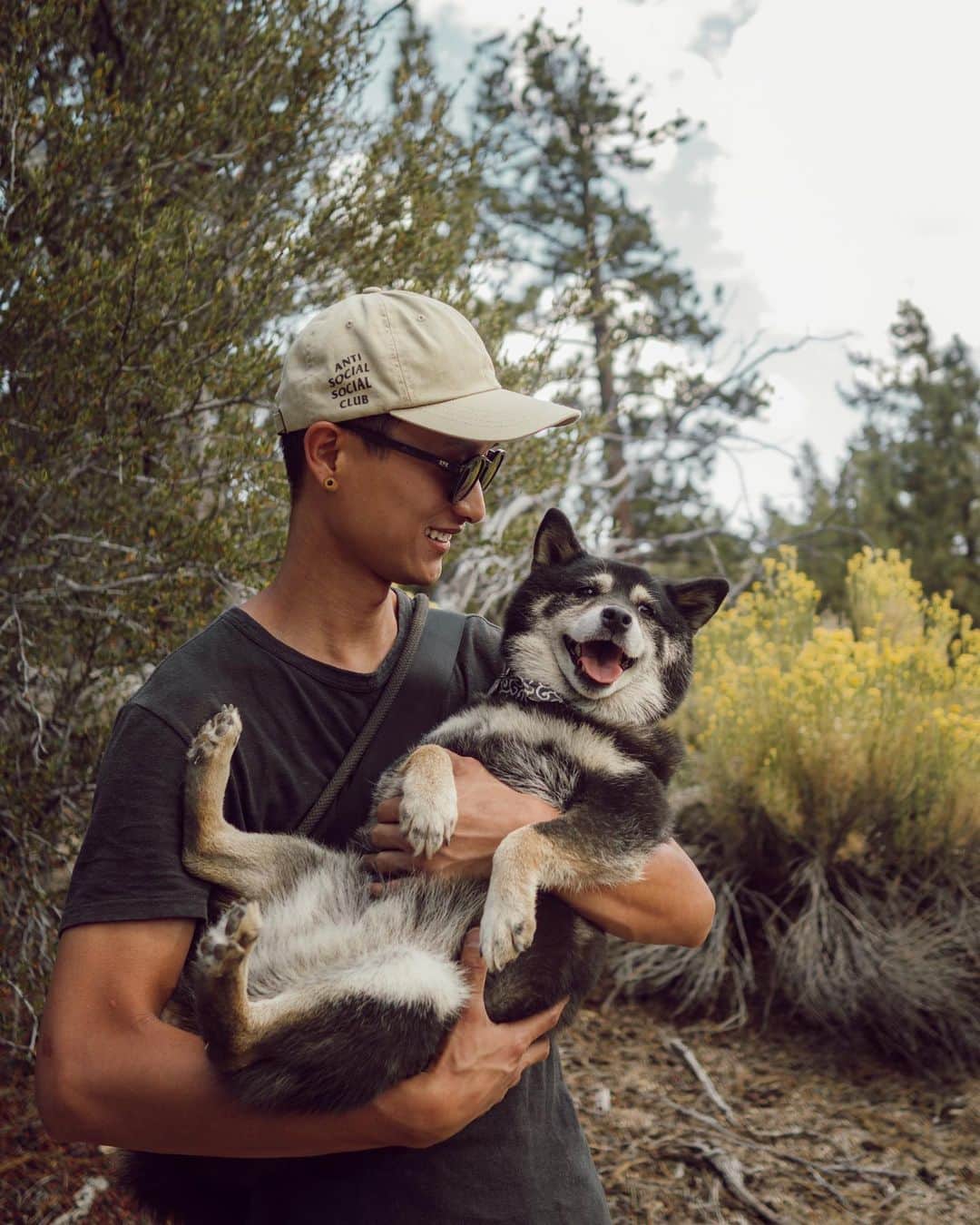 W E Y L I Eのインスタグラム：「Happy 12th birthday bb Michhh 🐺 How is she 12?! She was just 5! 😭 This past weekend, I noticed Michi’s age is slowly catching up. We hiked like we normally would, but this time she could barely hang towards the end. Wah & our friend carried her the rest of the way, while she had the biggest smile on her face. Michi really is something special. She is loyal, protective, respectful, patient, loving...just everything you would want in a dog. She is completely selfless & have jumped in front of me to protect me without a second thought when she thought someone  was gonna attack us (that someone being Wah who jumped out the bushes on us 😂😒), she is extra protective when she knows Wah is not home, but also the most patient & kind towards puppies & kids. She is the perfect companion whether it’s going into the mountains or chilling at home. She is also growing to be the best big sister to Navi (sorry Money, y’all still working on that 😂) Feeling very lucky to call her our dog and hope for many more years to come! 🎂」