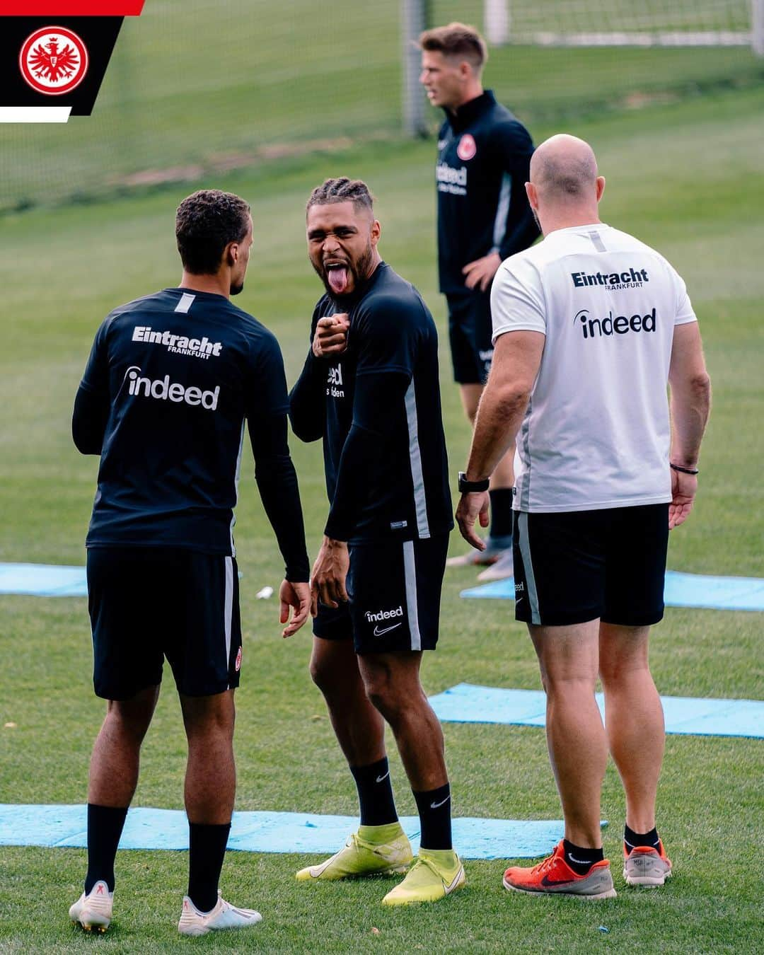 アイントラハト・フランクフルトさんのインスタグラム写真 - (アイントラハト・フランクフルトInstagram)「Ab auf die Matte 🏋🏼‍♂️ • • #SGE #eintracht #frankfurt #eintrachtfrankfurt」9月6日 5時35分 - eintrachtfrankfurt