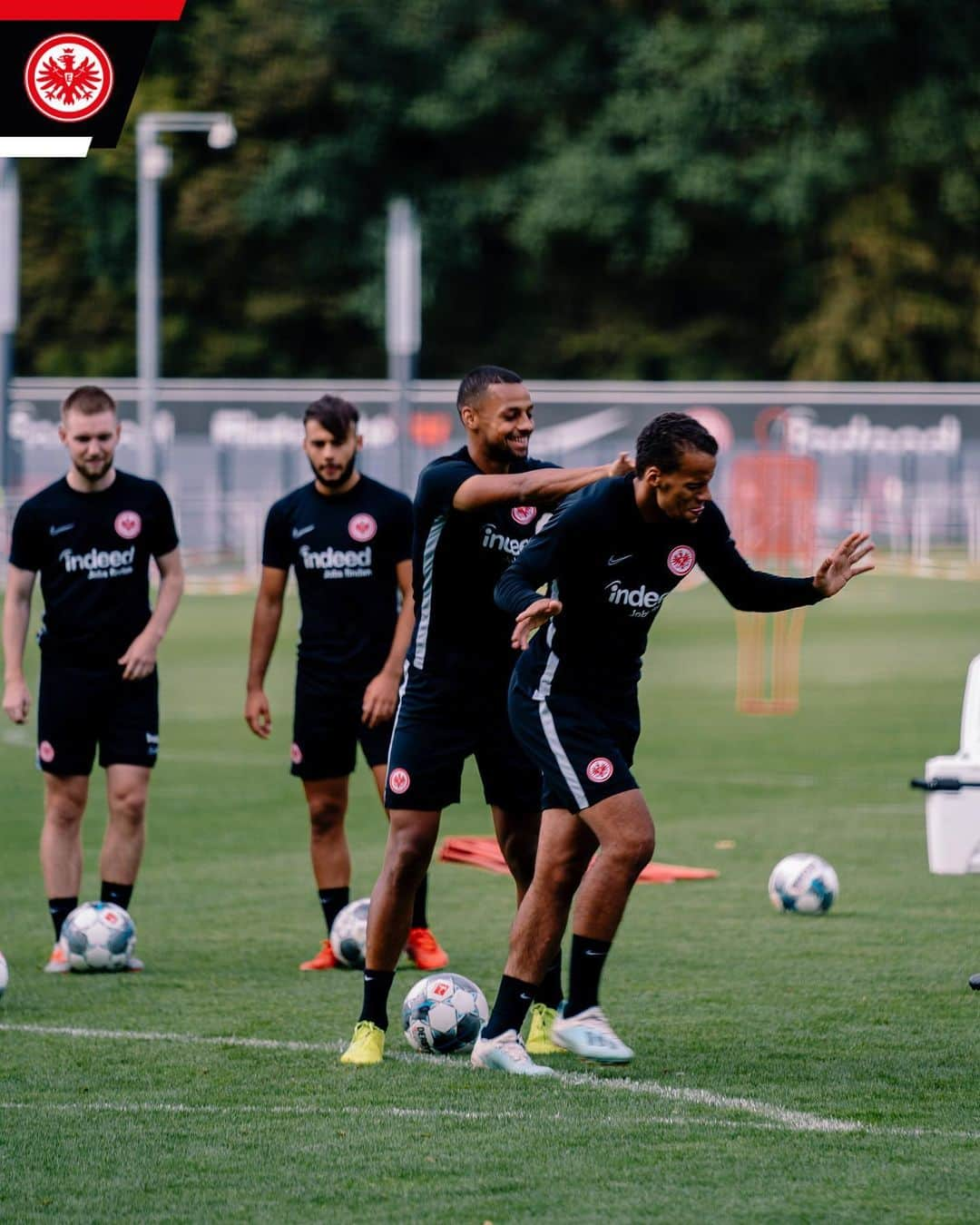 アイントラハト・フランクフルトさんのインスタグラム写真 - (アイントラハト・フランクフルトInstagram)「Ab auf die Matte 🏋🏼‍♂️ • • #SGE #eintracht #frankfurt #eintrachtfrankfurt」9月6日 5時35分 - eintrachtfrankfurt