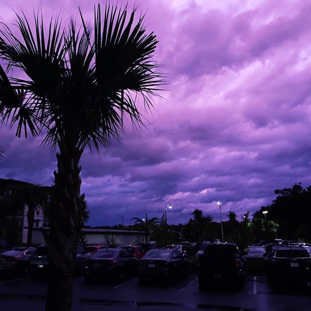 CNNさんのインスタグラム写真 - (CNNInstagram)「The sky turned purple over parts of Florida on Wednesday, causing a bit of a stir among those who were watching for #HurricaneDorian. Residents flooded social media with pictures of the phenomenon, which scientists call a "scattering" — the low-level clouds from Dorian scattered light in such a long wavelength that the sky appeared purple 💜 “The sky was definitely a pleasant reminder that we must have hope and if we only believe in the sun when it’s shining we will never get through the night,” said one onlooker. (📸: Amy Pope-Latham, Berivan Keskin)」9月6日 5時53分 - cnn