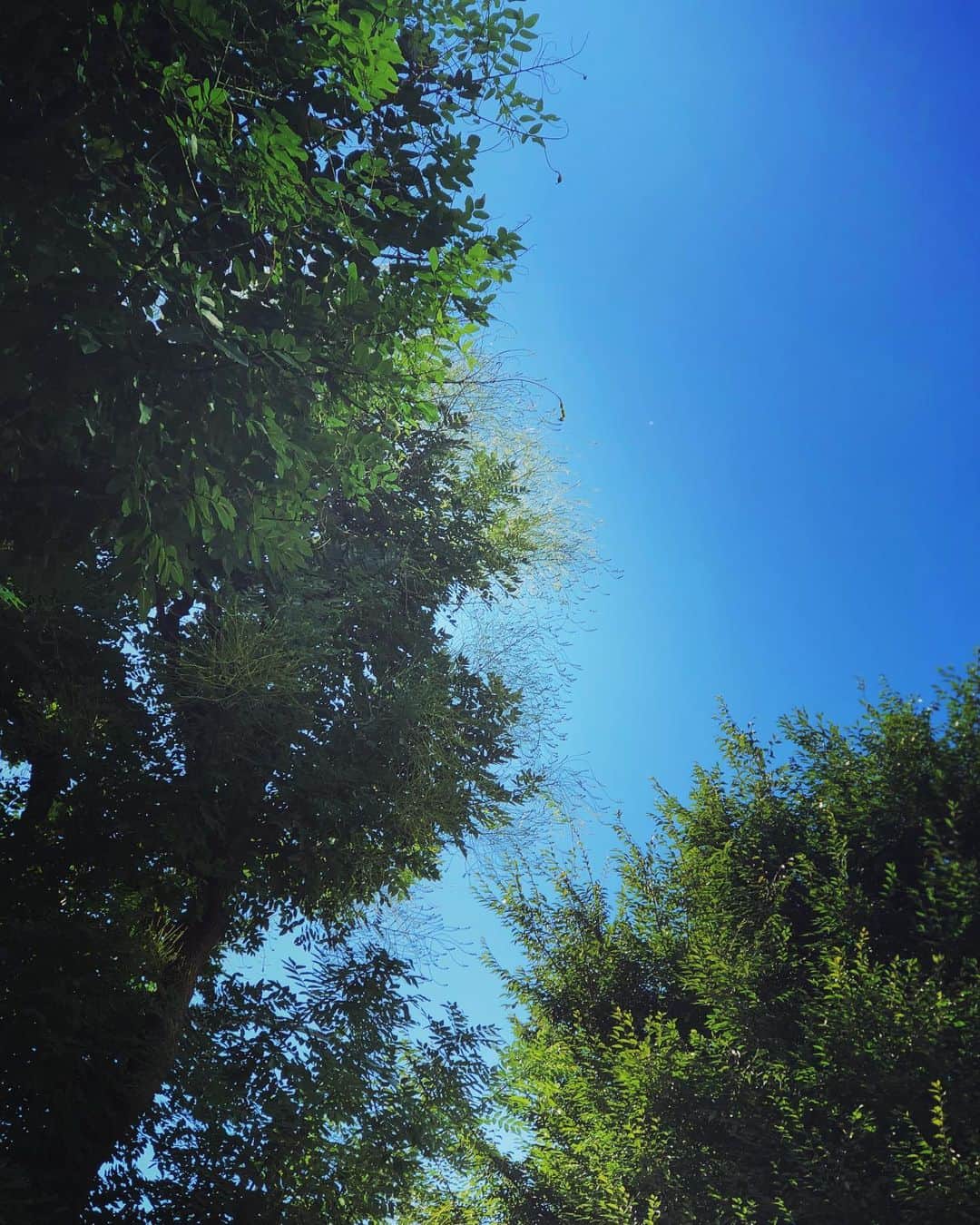 田中理恵さんのインスタグラム写真 - (田中理恵Instagram)「It's wonderful weather today. There's not a cloud in the sky ❤️🧸❤️」9月6日 16時08分 - riiiiiie611