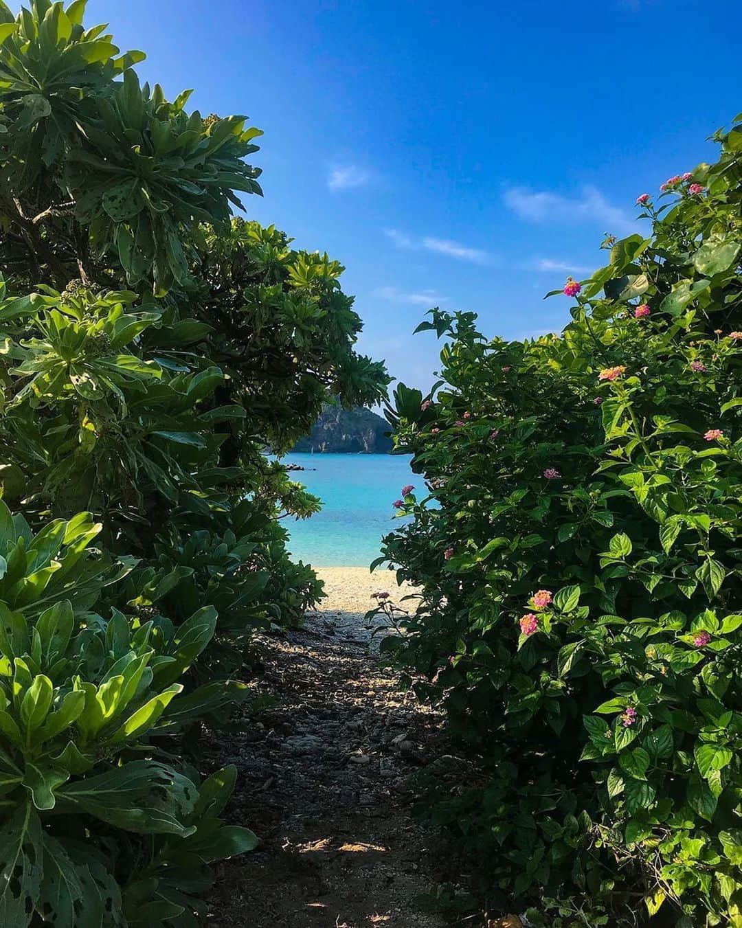 Be.okinawaさんのインスタグラム写真 - (Be.okinawaInstagram)「There's always a pathway leading to a slice of paradise in Okinawa. 📷:@mayumi_0712  #akaisland #keramaislands #阿嘉島 #慶良間群島 #아카섬 #게라마제도 #慶良間諸島 #海 #sea #sky #beokinawa #visitokinawa」9月6日 16時25分 - visitokinawajapan