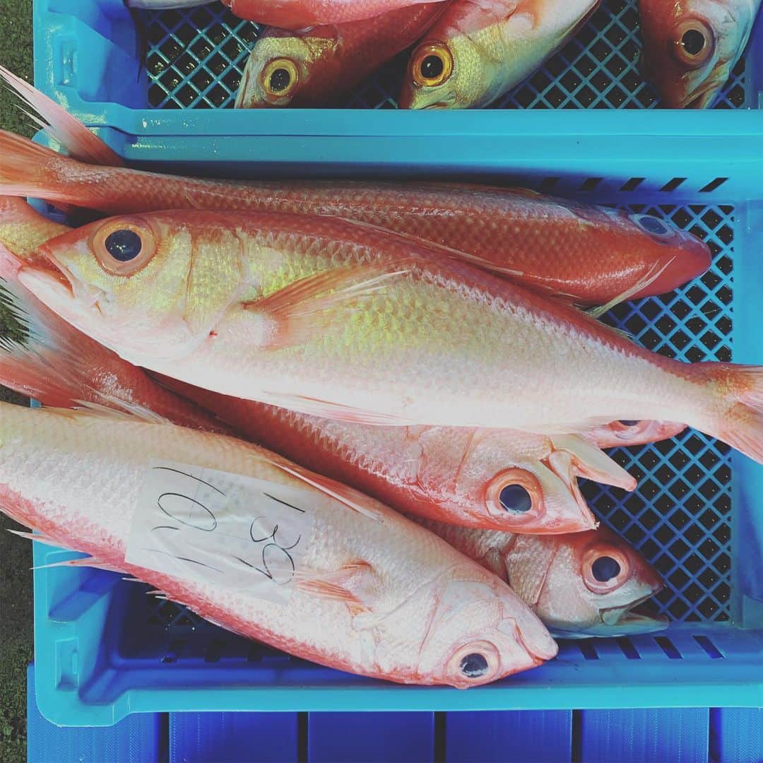 ONE SUITE Hotel & Resort（公式）のグルメインスタ