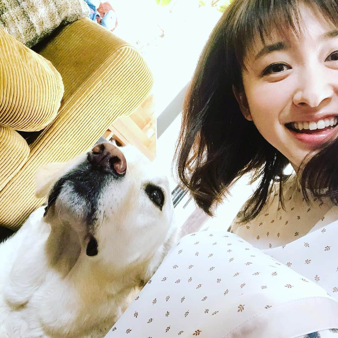 黛英里佳さんのインスタグラム写真 - (黛英里佳Instagram)「メイク終了💄  撮影でお借りしているお宅に可愛い子ちゃんが😍  知らない人がいっぱい来てるのに吠えず騒がずとってもいい子😭✨ 今日で北海道の地震から1年ですね。  当時は牧場で絞ったミルクを泣く泣く処分していたとお聞きします。  もうそんな事になりませんように。  日々の幸せを噛み締めます。  #北海道#ミルク#牛乳#ミルクランド北海道#無理矢理2ショット」9月6日 10時43分 - erikamayuzumi_official