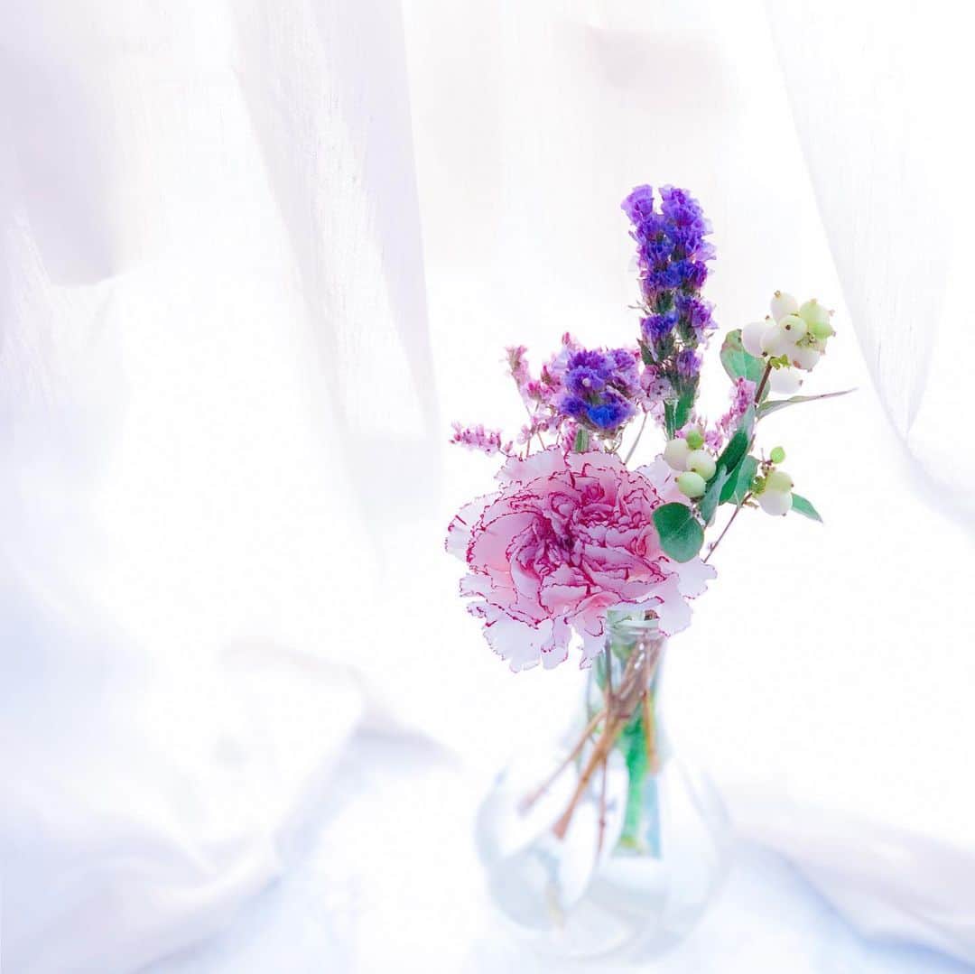 星読みプリンセス・エリ様さんのインスタグラム写真 - (星読みプリンセス・エリ様Instagram)「お家にはいつも生花を欠かさずに🌹﻿ お花があるだけで、なんだか心に余裕が生まれる気がする。﻿ ﻿ ﻿ かわいいお花が届く定期便”medelu”  @medelu_official ﻿ 明治から100年以上続く会社のスタッフが手掛けているサービスらしく、花の品質と鮮度がとってもいいの💐 ﻿ ミニブーケで届くから、自分では選ばないお花が届いてなんだか新鮮☺️✨﻿ ﻿ これは780円（税抜、送料込）で届くLiteコースのお花。﻿ クーポン使うと初回限定無料で届くよ🎁♡﻿ ﻿ ﻿ クーポンコード・AU46﻿ 先着10名様まで﻿ ﻿ ﻿ #medelu#お花の定期便﻿ #花のある暮らし#PR﻿ #花のある生活#ミニブーケ﻿ #暮らしを楽しむ#花束﻿ #インテリア#ナチュラル﻿ #シンプルライフ#置き画倶楽部」9月6日 11時15分 - eri.princessmind