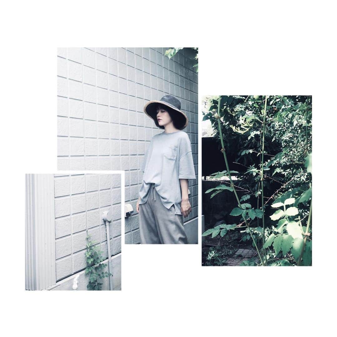 和歌子さんのインスタグラム写真 - (和歌子Instagram)「#garden」9月6日 17時00分 - __waka.___