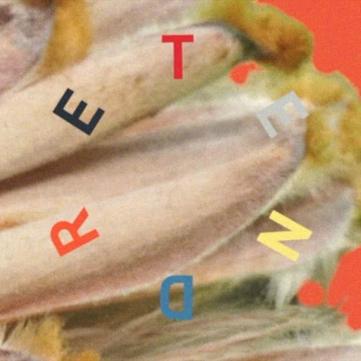 TENDREのインスタグラム