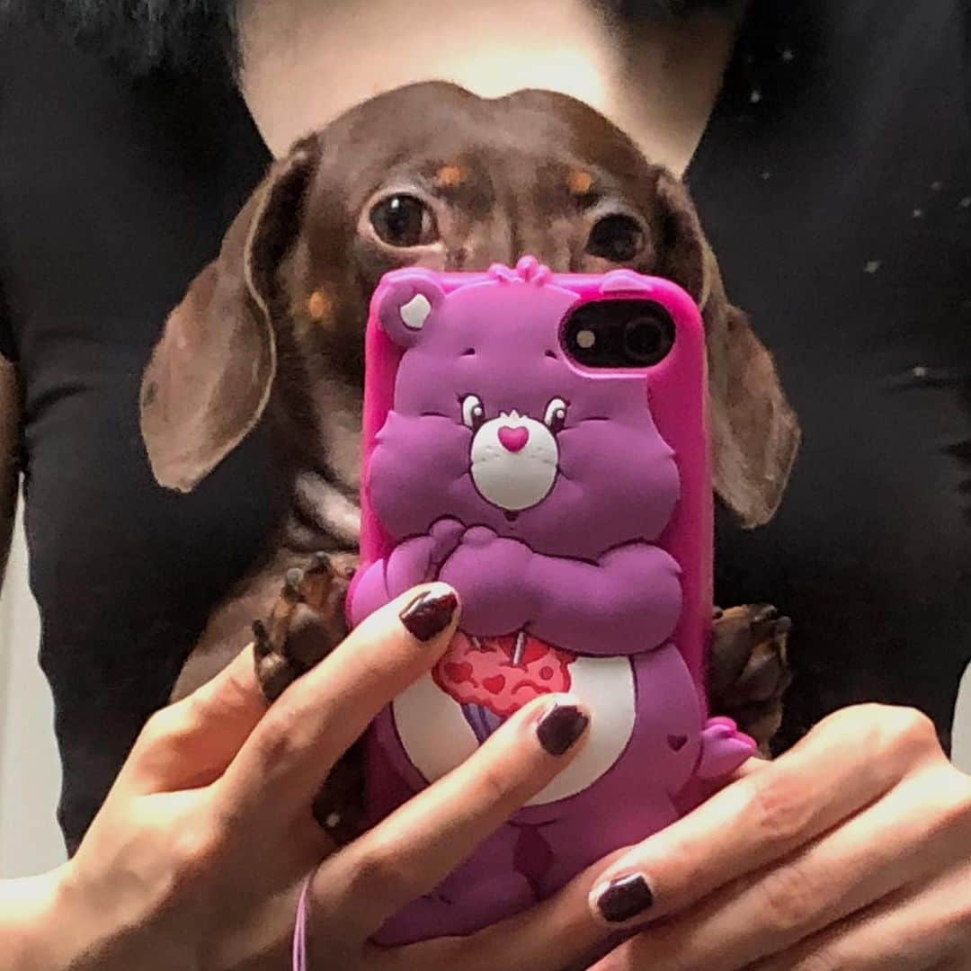 solsolさんのインスタグラム写真 - (solsolInstagram)「강아지 거울셀카 시초📱💜🧸 (시선처리 쥑인다,,멋져) #selfie #mirrorselfie」9月6日 12時03分 - solwlyy