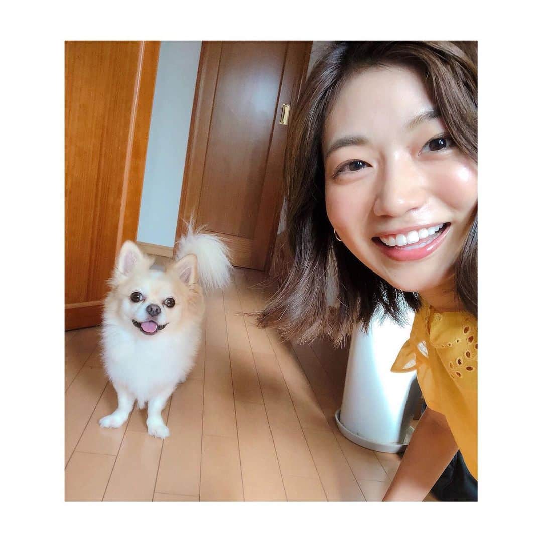村上奈菜さんのインスタグラム写真 - (村上奈菜Instagram)「チロルの笑顔〜😆🌻みんなの癒しだね！#ふにゃ顔」9月6日 12時29分 - murakami__nana