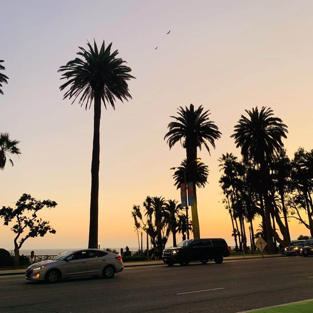 坂田陽子さんのインスタグラム写真 - (坂田陽子Instagram)「久々の海外家族旅行は およそ一年ぶりのLA ⛱ ・ Santa Monicaは 朝のビーチのヘルシーさ。お昼の賑わい。夕暮れ時のロマンティックな空の色。カラフルなネオンに彩られた夜。どの表情も大好き😆 ・ サンタモニカ大通り挟んでビーチ目の前にある @shorehotelsm は 食事もショッピングにも便利で、 サンタモニカの空の色みたいなブルーとオレンジが貴重の可愛いホテル🏨 ・ ホテルから歩いてすぐの @watergrill のロブスターが とっても美味しかった🦞😆 ・ ・ #losangeles #la #california #vacation  #santamonica」9月6日 12時54分 - yokosakata