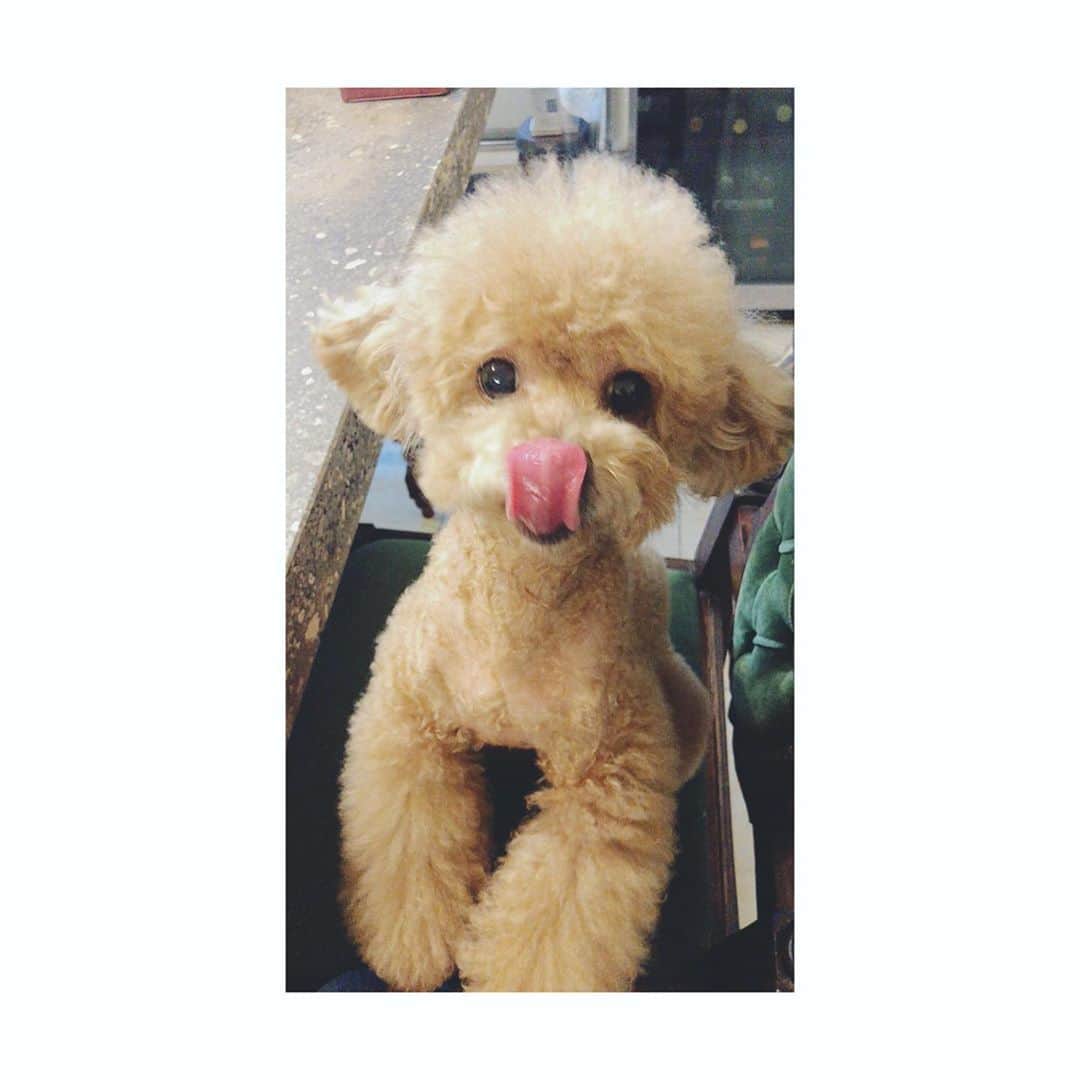 テミンのインスタグラム