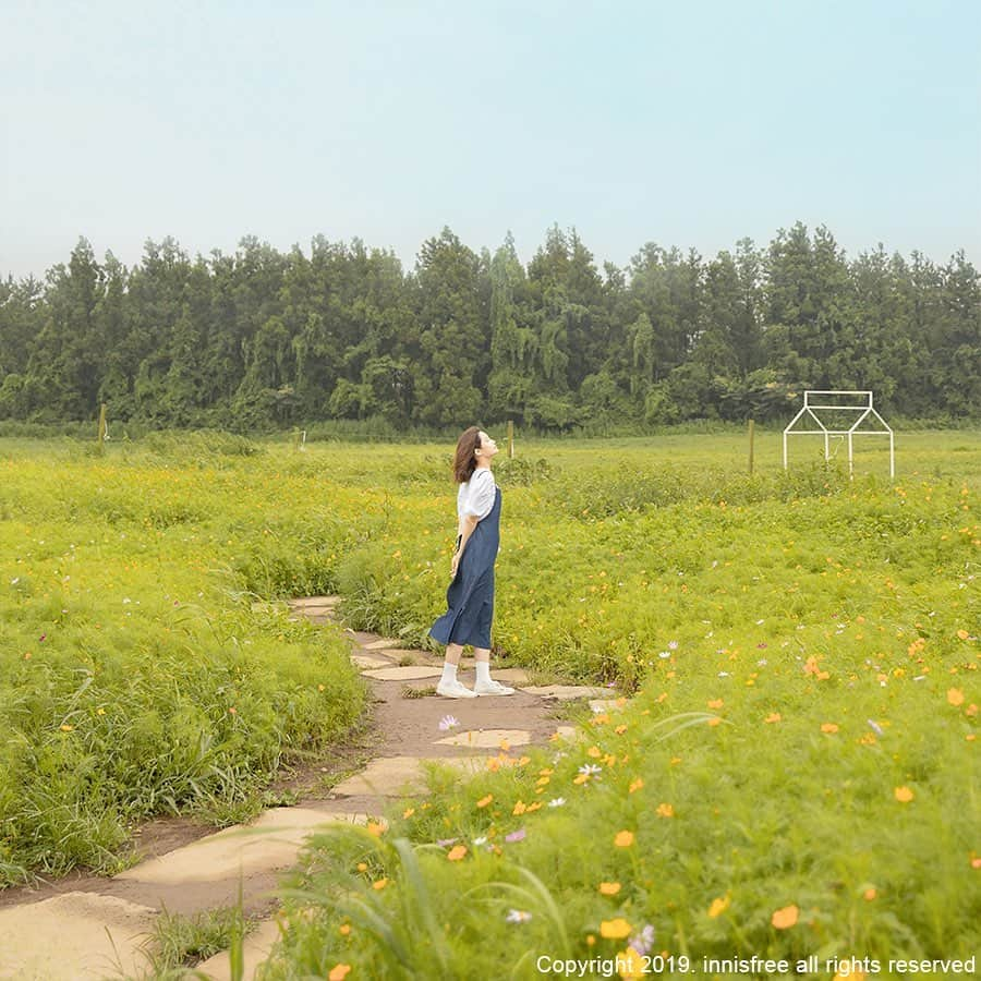 innisfree official (이니스프리) さんのインスタグラム写真 - (innisfree official (이니스프리) Instagram)「The best picture ever, taken by my friend! Guess where I am today? ⠀ 친구가 찍어준 인생샷! 오늘은 어디에 놀러 왔을까요?」9月6日 15時05分 - innisfreeofficial