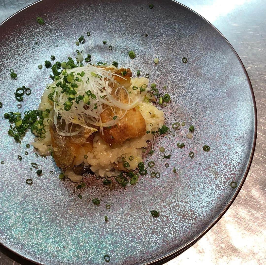 浪花ろばた 頂鯛 北新地店のグルメインスタ