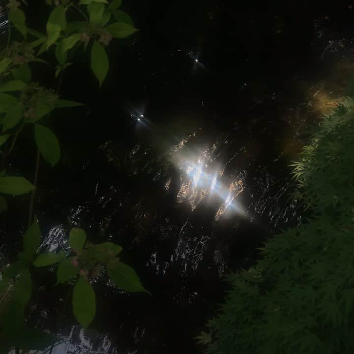 ハンナ・チャンのグルメインスタ