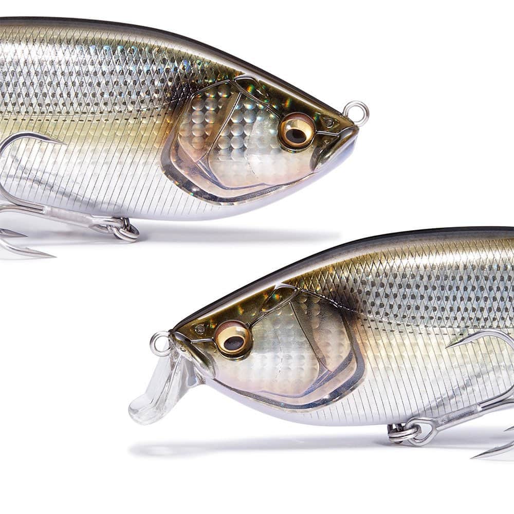 Megabass Inc.のインスタグラム：「コノシロパターンはコレで決まり！！ コノシロパターン特化型、マグナムシャッド「コノシラスシャッド」とマグナムリップレス「コノシラススイマー」。 2つを使い分けることで、広いレンジ攻略が可能となります。 圧倒的な存在感と軽い引き抵抗で広大なエリアをテンポよくサーチが可能です。 これから秋にかけてのコノシロを荒食いするモンスターフィッシュの群れをこれで仕留めてみてください！ 【10月上旬発売】 #megabass #メガバス #Mymegabass #コノシラス #コノシラススイマー #コノシラスシャッド #Konosirus #KonosirusShad #KonosirusSwimmer #コノシロパターン #シーバス #ビッグベイト #ビッグベイトシーバス」