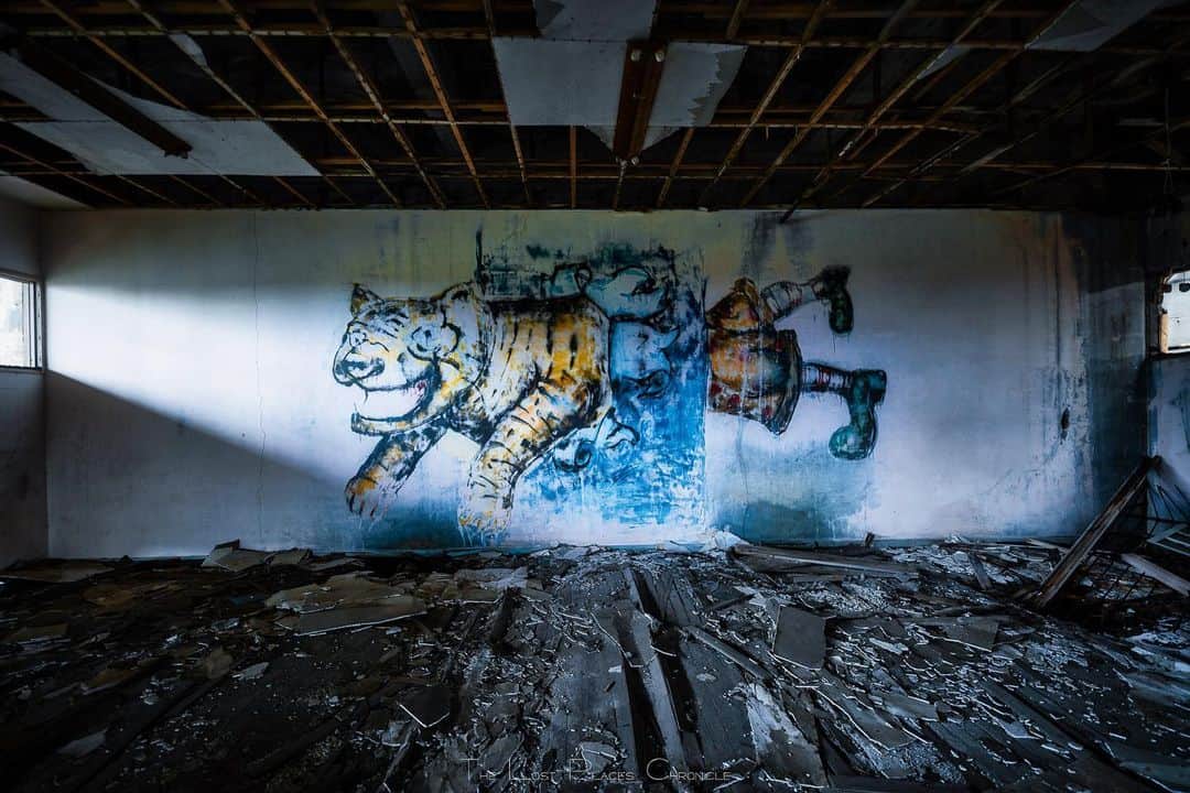 啝 （わ）のインスタグラム：「G-Tiger 𓆲 𓆲 𓆲 #廃墟 #Abandoned #AbandoniG #allabandoned #abandonedworld #Abandonedafterdark #abandoned_addiction #abandoned_greece #abandon_seekers_ #Abandoned_Excellence #abandonedcentral #beAlpha #discarded_butnot_forgotten #DECAY_iLLife #desertedplaces #ethereal_moods #grime_nation #grime_reapers #GoTrespassing #ig_urbex #Itsabandoned #KINGS_ABANDONED #renegade_abandoned #sombrexplore #urbex_supreme #urbex_regards #urbexplaces #urbex_disciple #urbex_utopia  #japan_urbex」