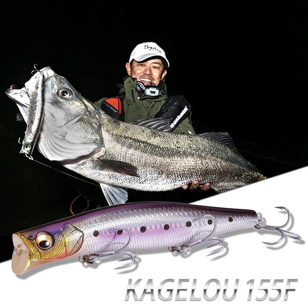 Megabass Inc.のインスタグラム：「モンスターを撃破。ビッグサイズ155mm！！ ランカーハンター久保田剛之プロデュースによるカゲロウシリーズの第3弾がカゲロウ155F。 ボラや落ちアユ、コノシロ等の大型ベイトを捕食する状況でボリューム感のあるハイアピールボディが最も効果を発揮。大きく切られたダーターカップは水を受ける表面積の拡大により更に水を強く押し動かしターゲットへ猛烈にアピールします。 【10月中旬発売】 #megabass #メガバス #Mymegabass #シーバス #カゲロウ #カゲロウ155F #KAGELOU #KAGELOU155F #久保田剛之 #久保田プロデュース」