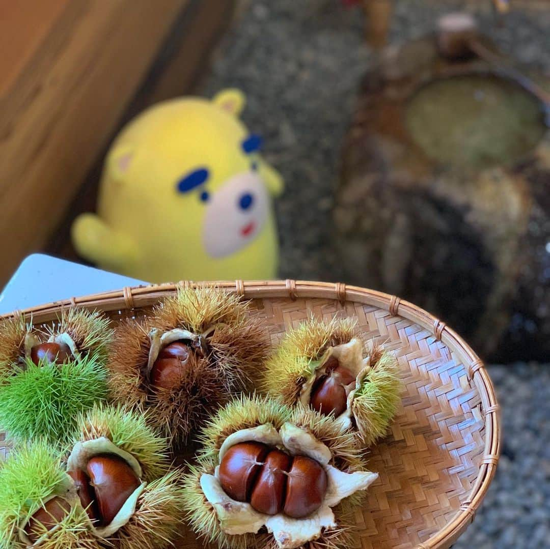 たくやさんのインスタグラム写真 - (たくやInstagram)「栗きんとん！！🌰 岐阜県中津川市の「川上屋」さんで秋を感じる栗きんとん中継してきたよ〜  最高ーだったー！！ 秋だね！ 外めちゃくちゃ暑かったけど。  #東海テレビ #スイッチ #東海テレビスイッチ  #柴田美奈 アナ #イッチー」9月6日 17時26分 - takuya_the_touch