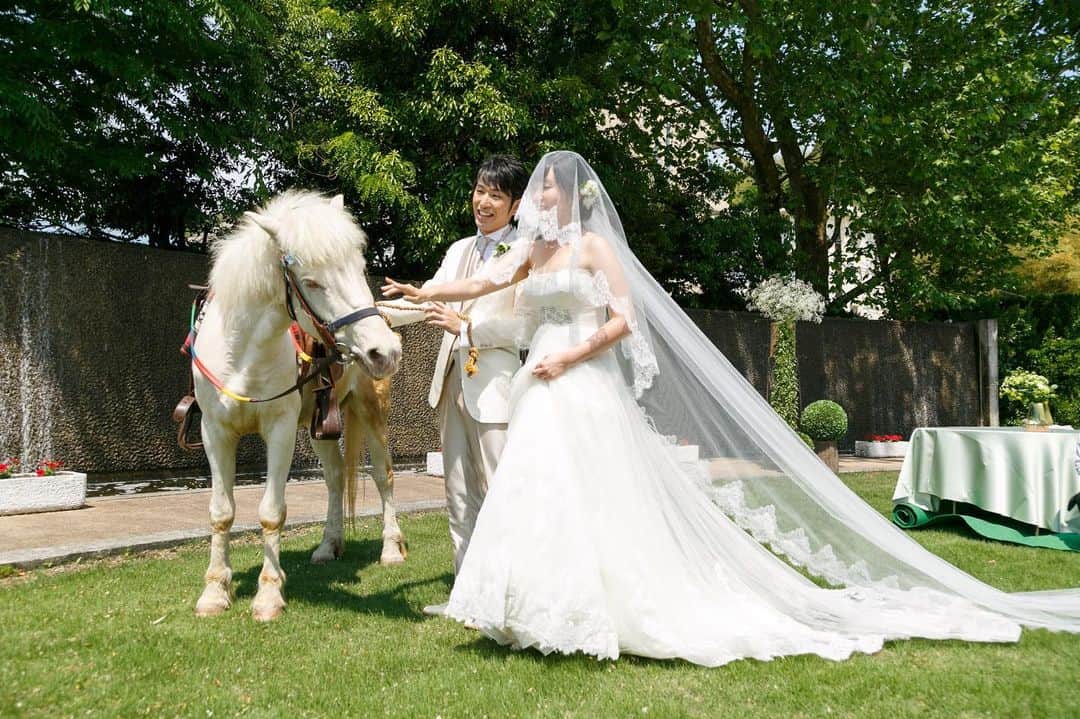 富山結婚式 ヴィラグランディス富山さんのインスタグラム写真 - (富山結婚式 ヴィラグランディス富山Instagram)「， ， 〜憧れの馬入場〜 ， 動物が好きな新郎新婦様 中でも新婦様は馬が大好きで幼い時から 「いつか結婚式をやるときは馬と一緒にやりたい！」 とずっと夢みていました ， ， 馬との結婚式を実現させるため， 挙式は完全貸切のプライベートガーデンで🌿 前代未聞の挑戦をヴィラグランディススタッフ一同と 力を合わせて創り上げました✨ ， ， 夢を叶える場所 憧れを実現させる場所 それが結婚式場です ， お二人にとってこの日が 一生の想い出になりますように♡ ， ， ， ， ， ， ， ， ， ， ， 他の写真も気になる方はプロフィールから 公式HPをご覧ください▶︎▶︎▶︎」9月6日 17時35分 - villagrandis_toyama