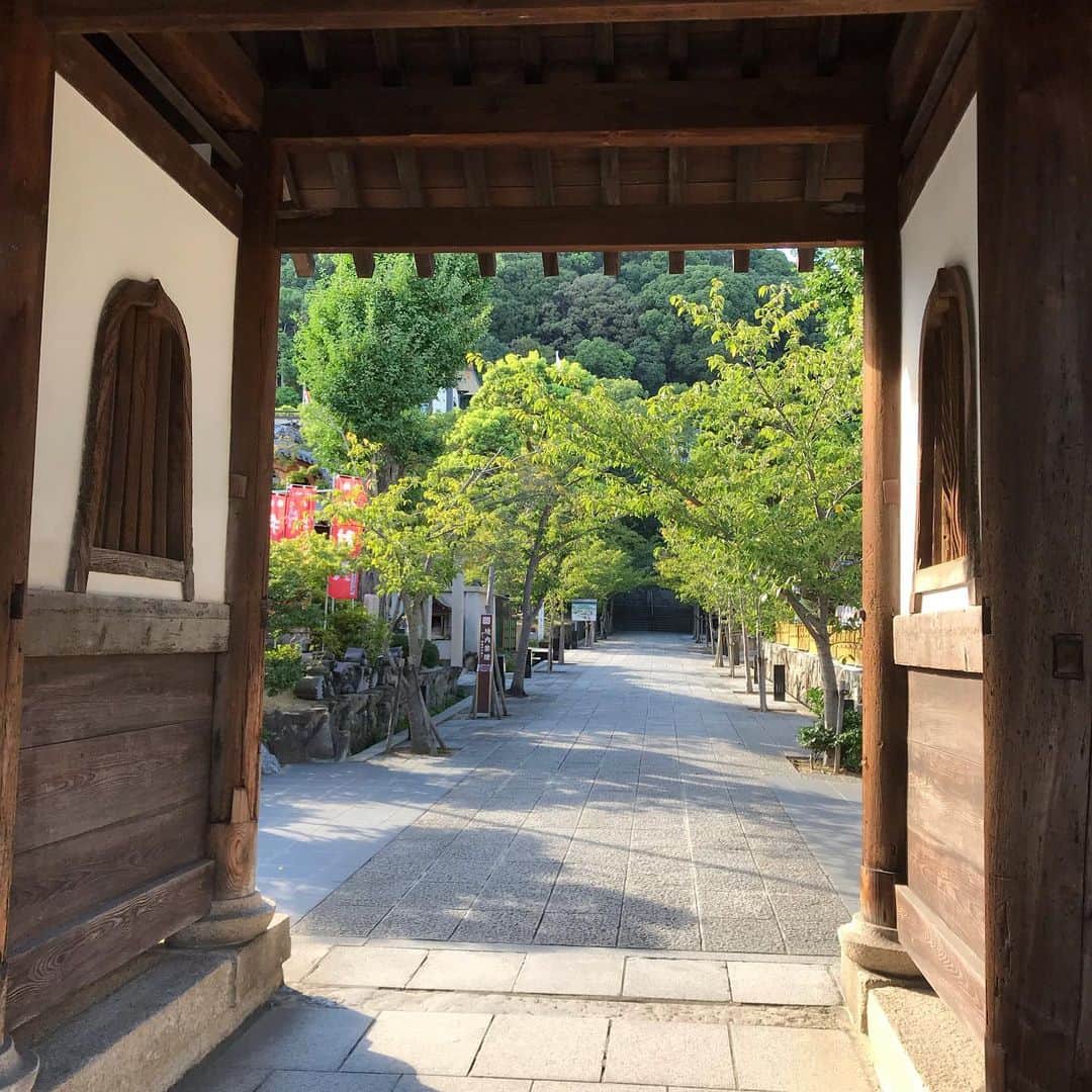 中野耕史のインスタグラム：「#須磨夜音 の打ち合わせを須磨寺でしてきました！ 今年は舞台の場所を移して、より多くの方に観てもらいやすくなります😊 9月28日（土）午後6時から是非須磨寺にお越しください🙏」
