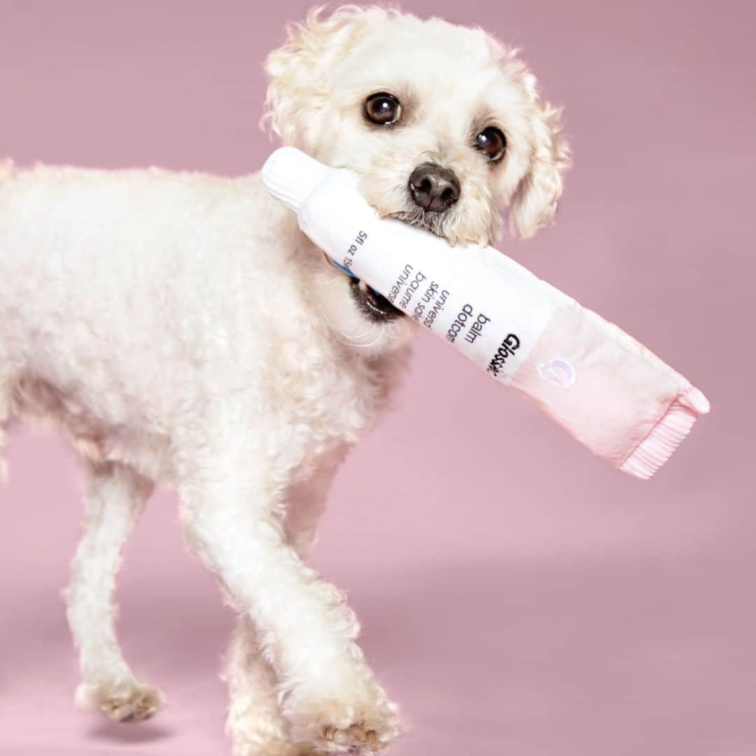 BarkBoxさんのインスタグラム写真 - (BarkBoxInstagram)「YOU WOOF GOOD 😍 ⁠ ⁠ ICYMI: Our @glossier collab goes live TODAY! So if you're in NYC or LA, stop by the Glossier Flagship, say hi and pick up a Balm Dogcom or Toy Brow in person 😘 ⁠ ⁠ And if you're like the rest of us (not in LA or NYC), @BarkShop has you covered!」9月6日 20時40分 - barkbox