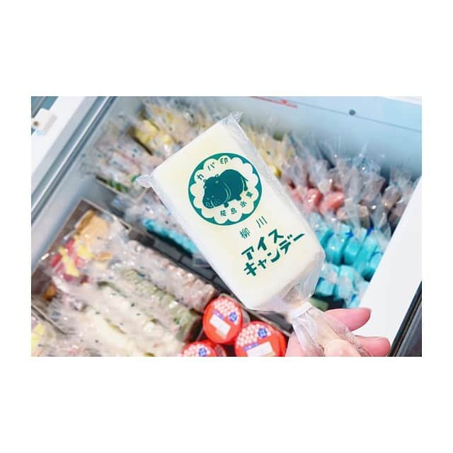 紗々さんのインスタグラム写真 - (紗々Instagram)「かわいい😍 * #アイス #アイスキャンデー #カバ印 #icecandy #instagram #photography」9月6日 20時51分 - 03sasa03