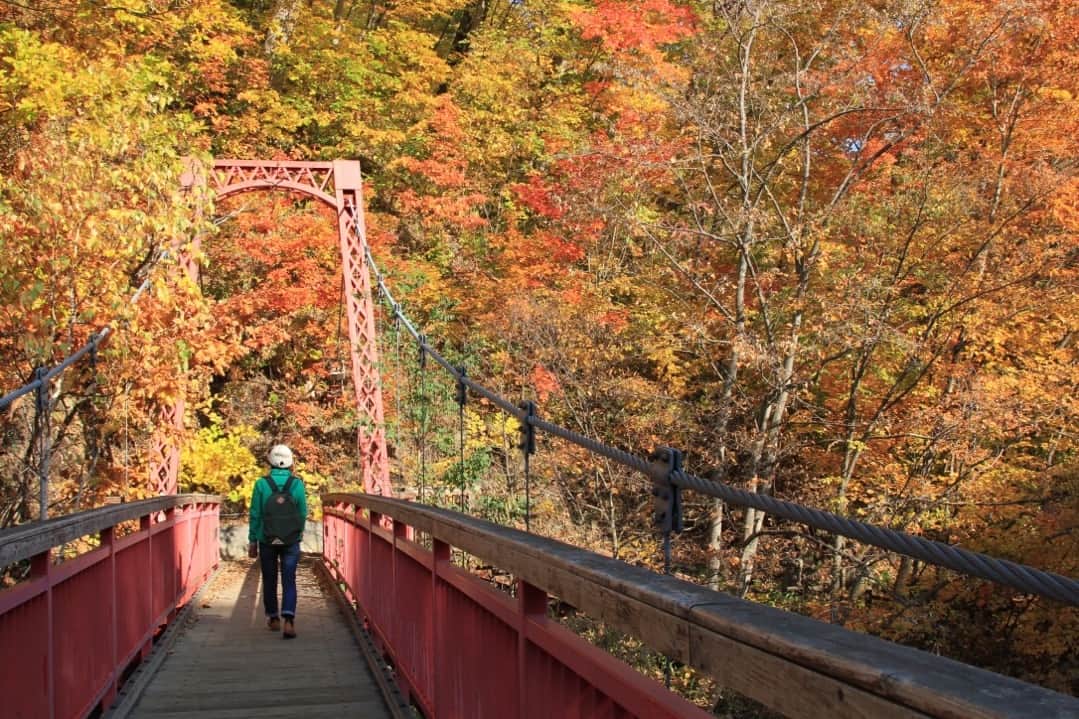 現地発信の旅行サイト「たびらい」さんのインスタグラム写真 - (現地発信の旅行サイト「たびらい」Instagram)「【北海道・定山渓】⠀ そろそろ、定山渓で紅葉が色づき始める季節。例年、10月中旬に見頃を迎えます。散策を楽しむもよし、「紅葉カヌー」でとっておきのひと時を過ごすのも素敵です。詳しくは「たびらい　秋の定山渓」で検索！⠀ :⠀ #たびらい #tabirai #ローカル旅行 #旅行好き #旅行好きな人と繋がりたい #旅行 #travelgram #たびらい北海道 #北海道 #hokkaido #travel #小旅行 #札幌 #sapporo #北海道旅行 #北海道好きな人と繋がりたい #定山渓 #紅葉 #秋 #カヌー #おすすめ #スポット #見頃 #二見吊橋 #豊平川 #体験 #旅 #素敵な体験 #activity #秋旅」9月6日 21時02分 - tabirai
