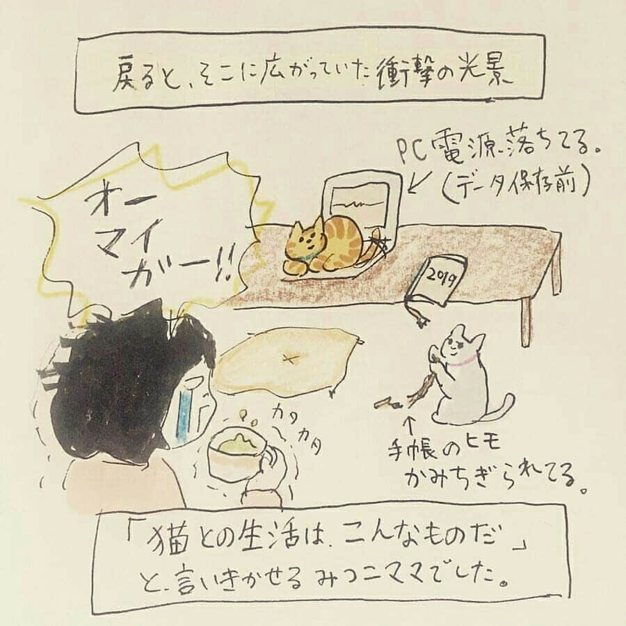 猫壱（ねこいち•ネコイチ）さんのインスタグラム写真 - (猫壱（ねこいち•ネコイチ）Instagram)「. . 猫との生活はこんなもの😁❤ ▫ ▫ #だから飽きないのかも #猫あるある ▫ ▫ :::::::::#猫壱 ::::::: 猫壱は猫と人との暮らしの向上を目指して猫グッズの開発に取り組んでします♪ 色々な猫グッズを販売✨ 気になる方は @necoichicojp をチェックしてみてくださいね！ ▫ ▫ 【Special thank-you💕💕💕💕】 ▫ Repost from @pecori39 and @necopecori  Illustrat by @hanautamu」9月6日 21時08分 - necoichicojp