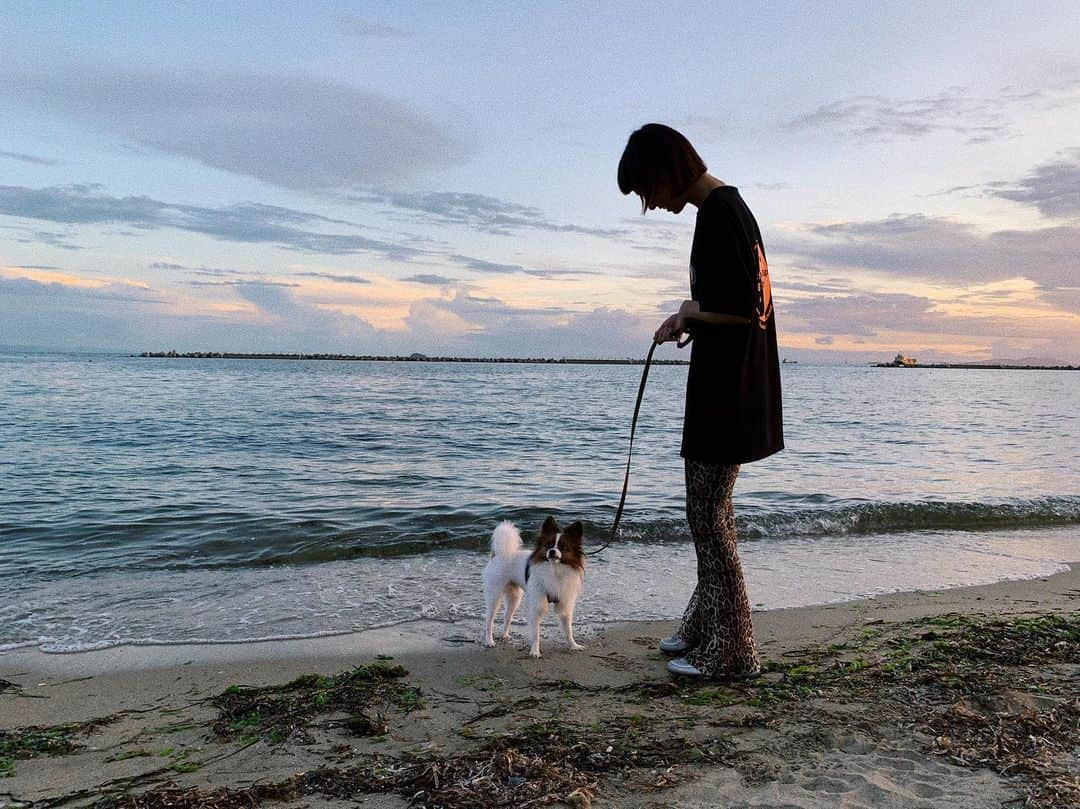 Yukano Nojiriさんのインスタグラム写真 - (Yukano NojiriInstagram)「こっちゃんと海🌊 #パピチワ #パピヨン #papillon」9月6日 21時42分 - yukano22