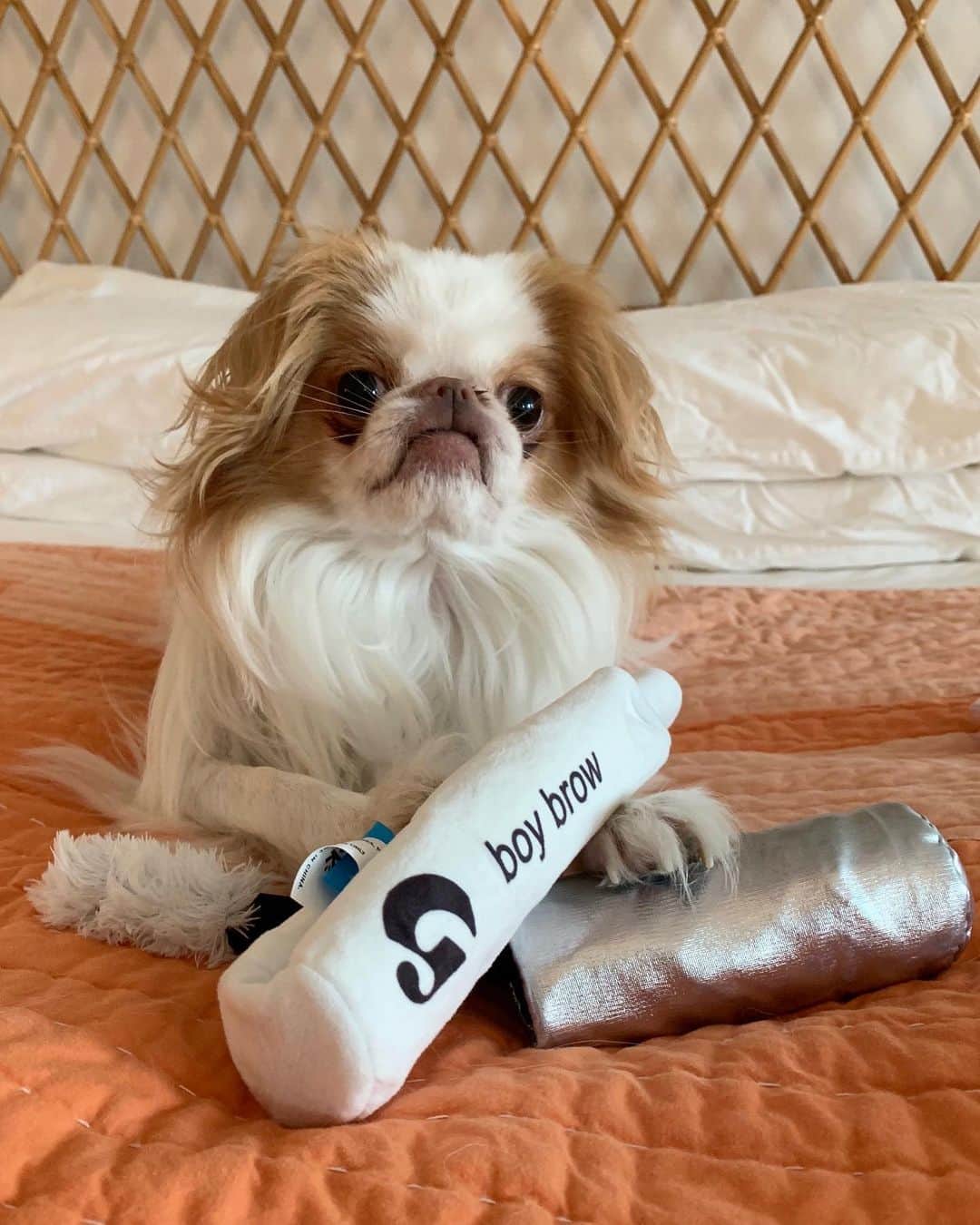 Glossierさんのインスタグラム写真 - (GlossierInstagram)「Good girl meet good brow. @buttermilk.biscuit chews Toy Brow 🐾☀️ Limited edition squeaky Glossier Balm Dogcom + Toy Brow c/o our friends @BARK 🐾 Available at our NYC + LA stores while supplies last」9月6日 22時15分 - glossier