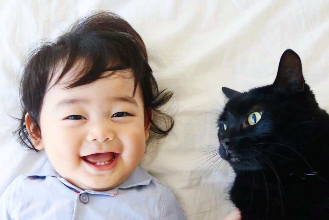 ギネス & ピムスさんのインスタグラム写真 - (ギネス & ピムスInstagram)「06/09/2019 Happy Friday! ・ Today, in Japan, it's Black Cat Appreciation Day. ・ Nagi says, Happy Black Cat Day, Guinness. We make a good team, right?! ・ Have a nice weekend! ・ ・ 今日は#黒猫の日 という事で ギネスと凪くんのツーショット。 温度差。笑 王子も心の中では凪くんみたいに笑ってるといいな😂 ちなみにピム丸バージョンもあるので後日postする予定。 ・ ストレスが溜まってるので、 凪くん寝たら 黒猫の日のタグを見て 可愛い黒猫拝もうと思います。笑 それでは皆さま 素敵な週末をお過ごし下さい♬ ・ ・ #ギネスくん #ギネピムと凪くん  #9monthsold #生後9ヶ月  #babyboy #男の子ベビー #赤ちゃんのいる生活 #赤ちゃんのいる暮らし #赤ちゃんと猫 #猫と赤ちゃん」9月6日 22時26分 - rina_takei