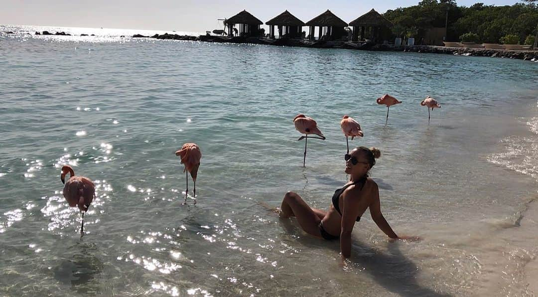 イモージェン・ケアンズのインスタグラム：「F l a m I n g o  I s l a n d 🐚🌺🥥. #flamingobeach #privateisland #flamingoislandaruba #aruba #renaissanceislandaruba」