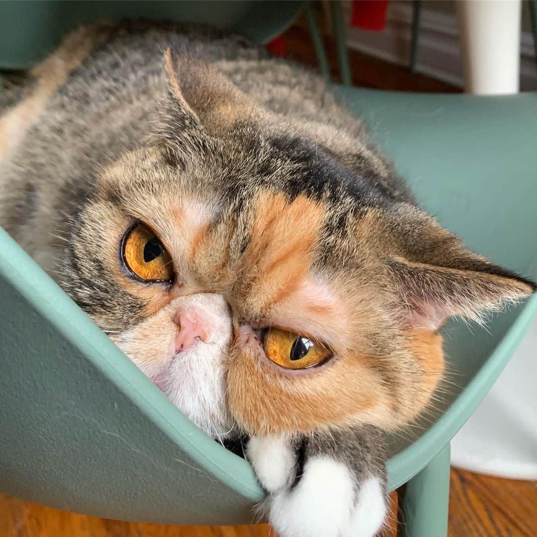 Tinaのインスタグラム：「Mood. 👀」
